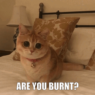 Cat Sitting on Bed Are You Burnt