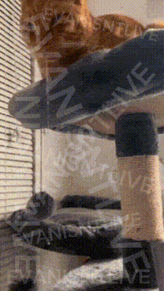 Cat Sitting on Cat Tree With Sample Watermark