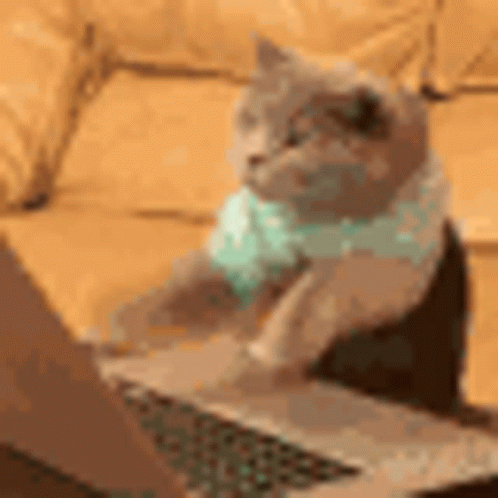 Cat Sitting on Couch Looking at Laptop
