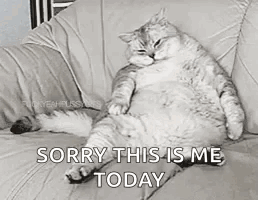 Cat Sitting on Couch Saying Sorry This Is Me Today
