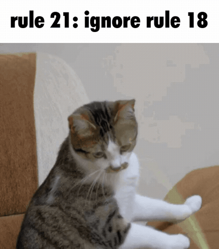 Cat Sitting on Couch with Rule 21 Ignore Rule 18