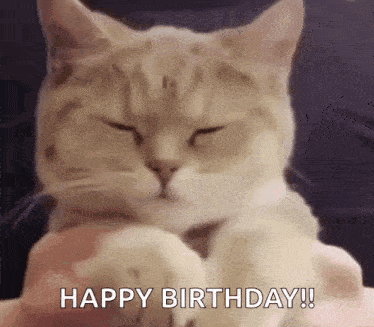 Cat Sitting on Lap Saying Happy Birthday