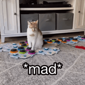 Cat Sitting on Puzzle Saying Mad