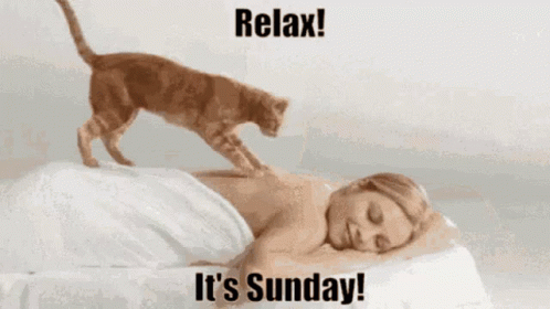 Cat Sitting On Woman Laying On Bed Relax It's Sunday GIF