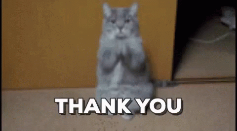 Cat Sitting With Paws Folded Thank You GIF