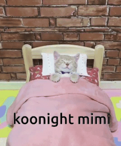 Cat Sleeping in Bed Koonight Mimi