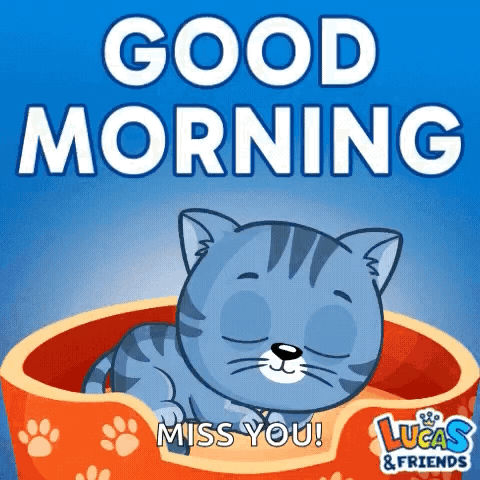 Cat Sleeping in Dog Bed Good Morning Miss You