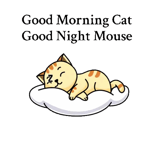 Cat Sleeping Next to Cake