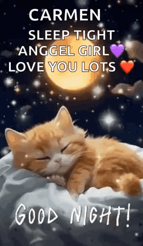 Cat Sleeping On Pillow Saying Carmen Sleep Tight Good Night GIF