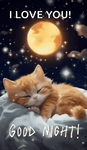 Cat Sleeping on Pillow with Moon