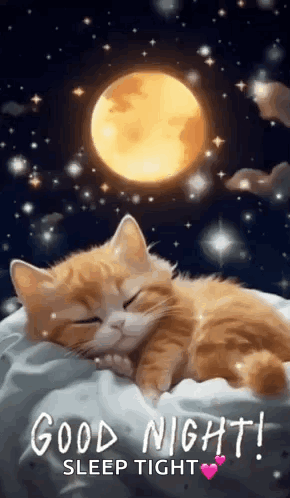 Cat Sleeping On Pillow With Moon GIF