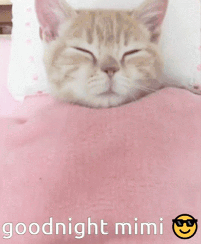 Cat Sleeping on Pink Blanket Goodnight Mimi