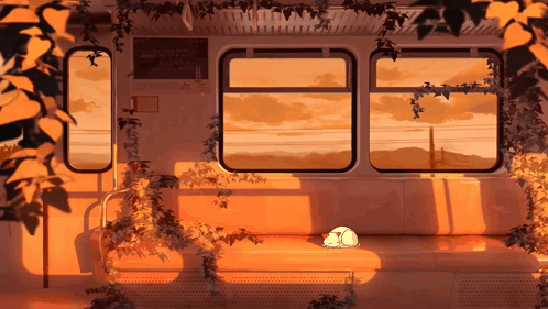 Cat Sleeping on Train With Sunset