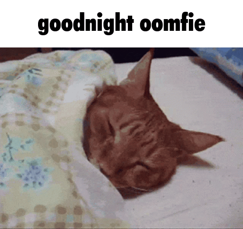 Cat Sleeping Under Blanket Goodnight Oomfie GIF
