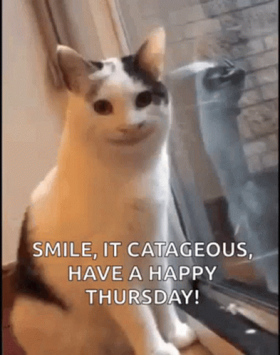 Cat Smiling Happy Thursday Funny GIF