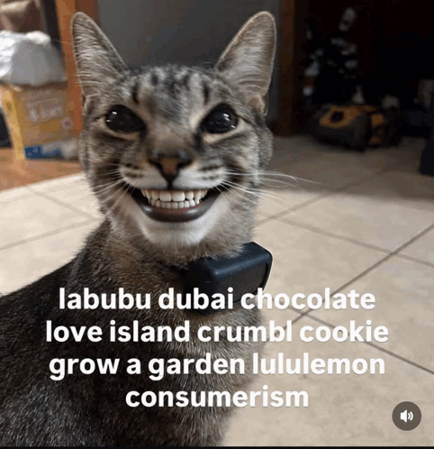 Cat Smiling Labubu Dubai Chocolate GIF