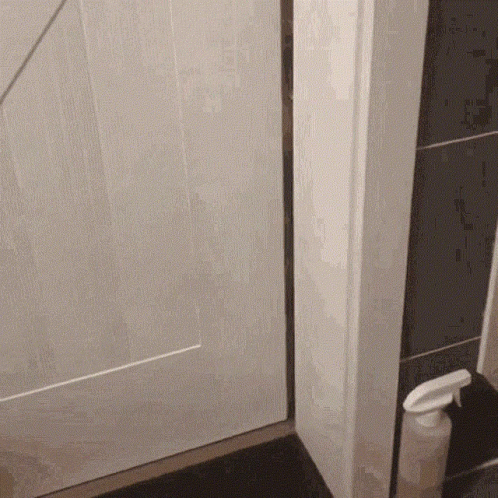 Cat Sneaking To Open Door GIF