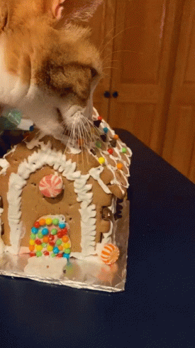 Cat Sniffing Gingerbread House GIF