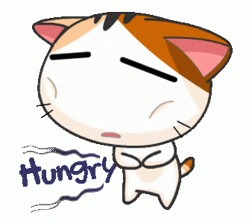 Cat So Hungry Tummy Aching GIF