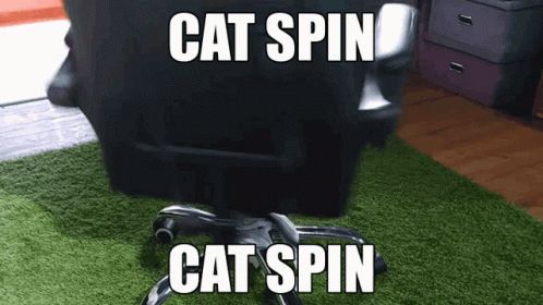 Cat Spin Spinning Cat GIF