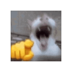 Cat Spinning In A Cube GIF