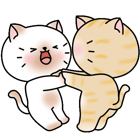 Cat Spinning In Love