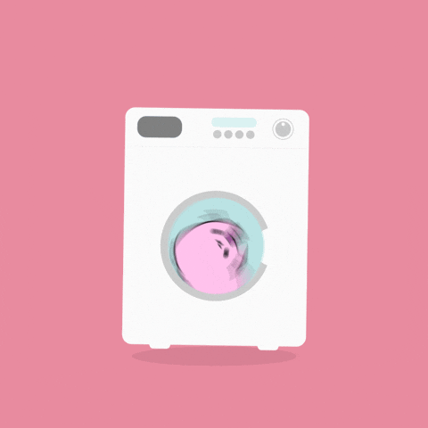 Cat Spinning Inside A Washing Machine Animation GIF