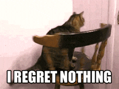 Cat Spinning On A Chair I Regret Nothing GIF