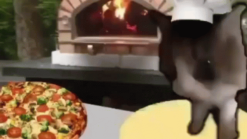 Cat Spinning Pizza Dough GIF