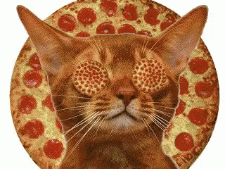 Cat Spinning Pizza Eyes GIF