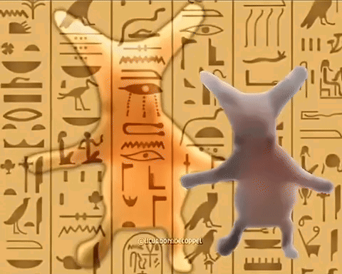 Cat Standing by Ancient Writing Wall