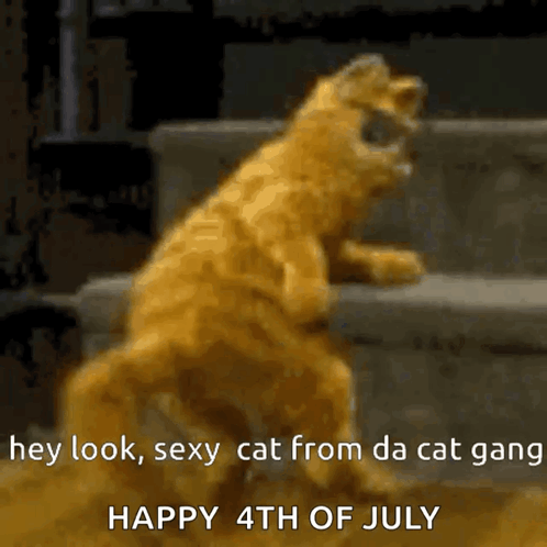 Cat Standing Hey Look Sexy Cat from Da Cat Gang