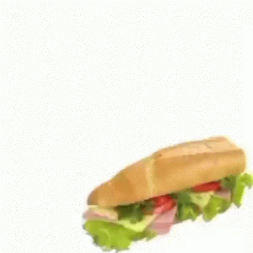 Cat Standing Holding Sub Sandwich