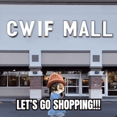 Cat Standing In Front Of Mall GIF