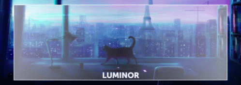 Cat Standing In Front Of Window With Luminor GIF