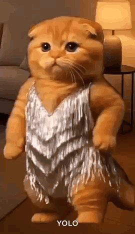 Cat Standing in Silver Dress