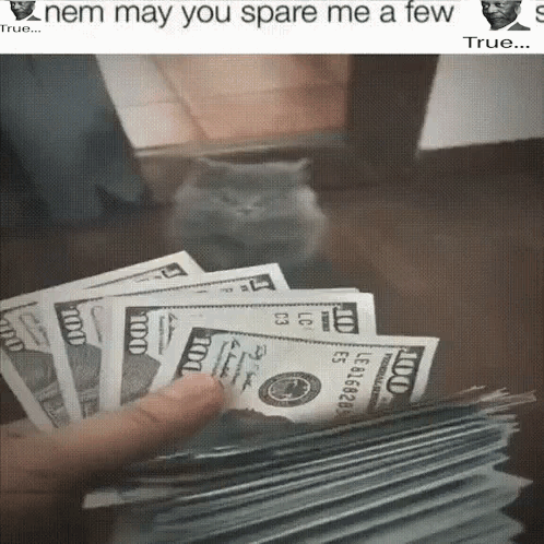 Cat Standing Next To Pile Of Money Saying Nem May You Spare Me A Few GIF