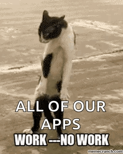 Cat Standing On Beach All Of Our Apps Work No Work GIF