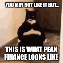 Cat Standing on Hind Legs You May Not Like It But