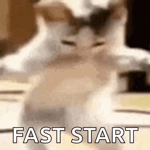 Cat Standing on Table Saying Fast Start