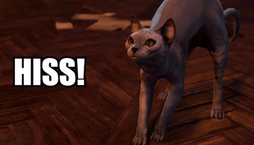Cat Standing Saying I Say Hiss GIF