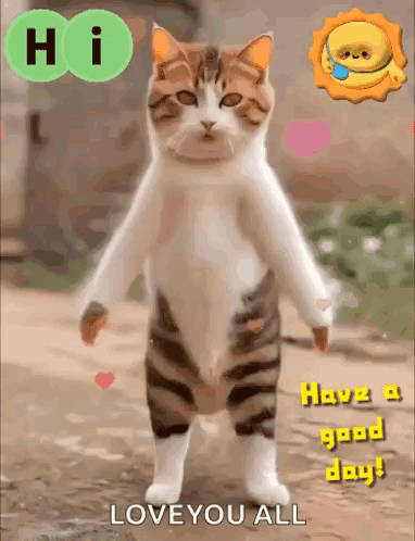 Cat Standing Saying Love You All GIF