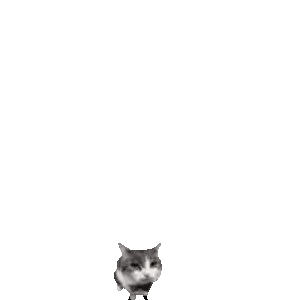 Cat Standing Under Red Brick