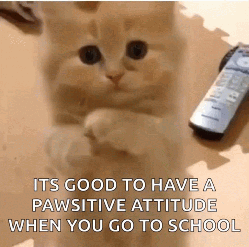 Cat Standing With Remote Saying It's Good To Have A Pawsitive Attitude GIF