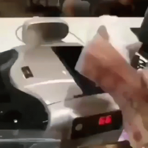 Cat Stealing Cash GIF