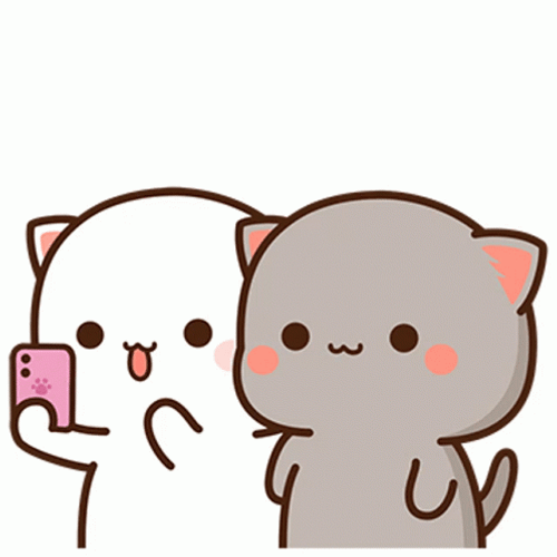 Cat Sticker Selfie GIF