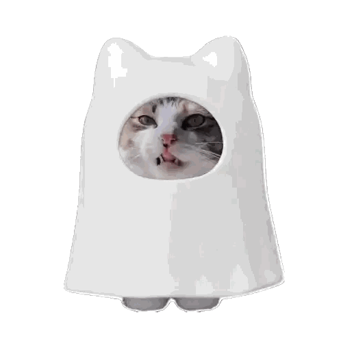 Cat Sticking Tongue in Ghost Costume