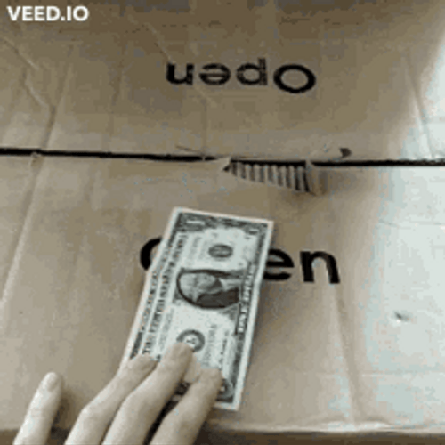 Cat Surprise Box Money Money Money GIF