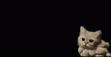 Cat Surrounded By Cloud Of Smoke GIF