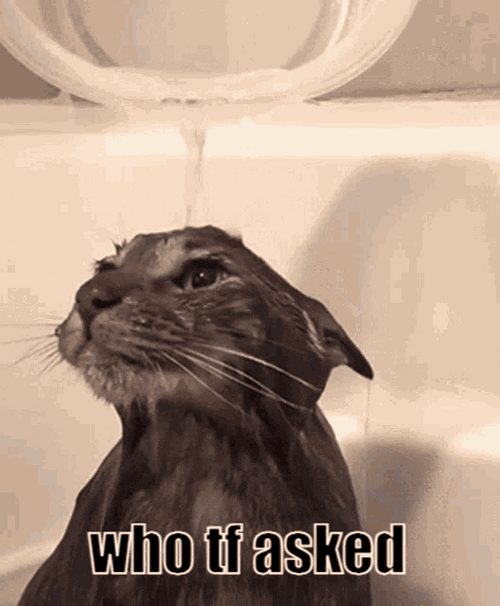 Cat Taking A Bath Who Tf Asked Meme GIF